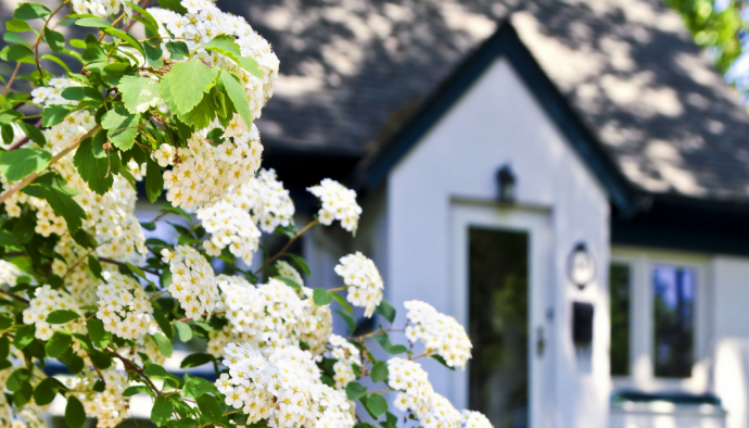 Spring Market Trends blog header