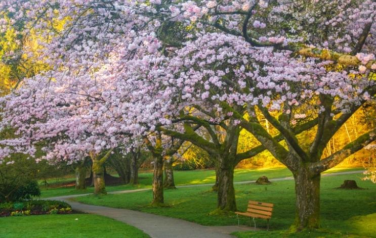 Tansley Burlington Real Estate